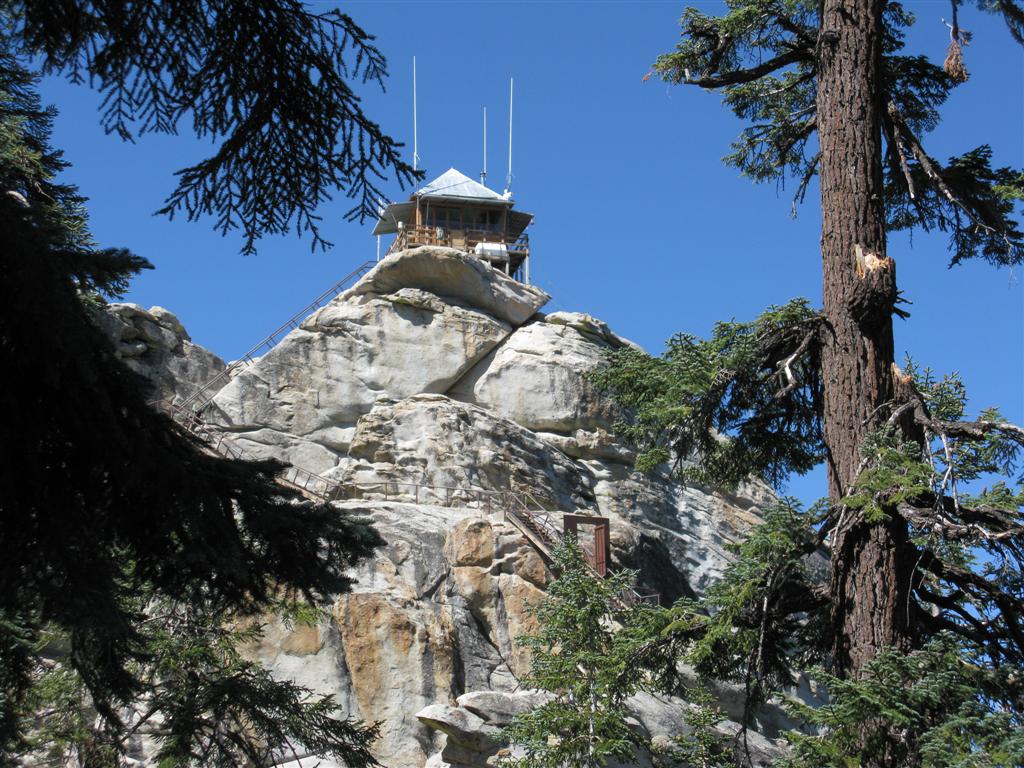 IMG_0103 (Large).JPG