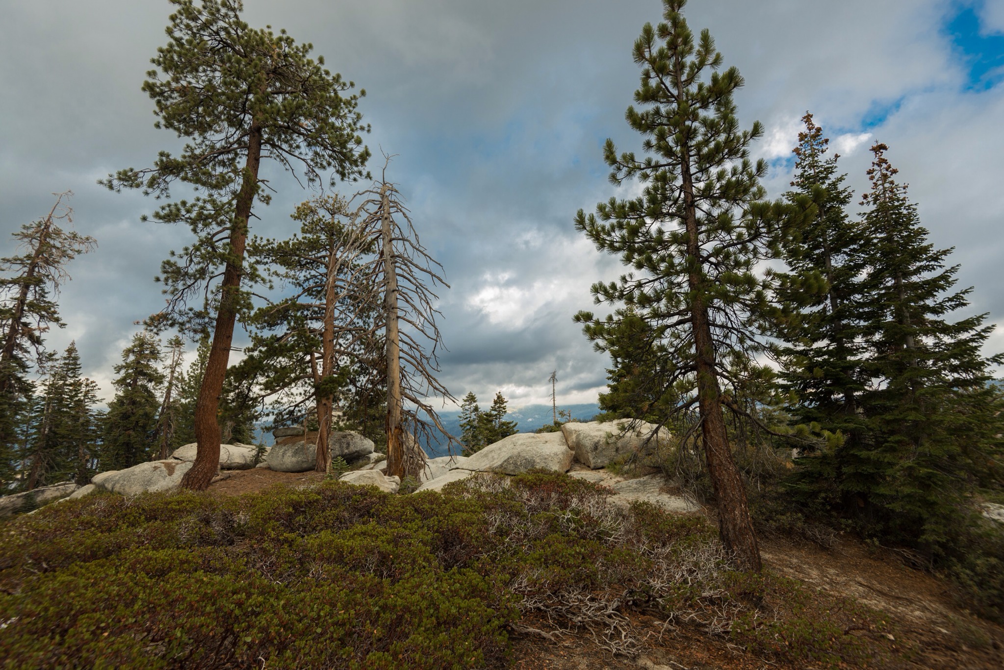 One view from cam at 8,100+ feet