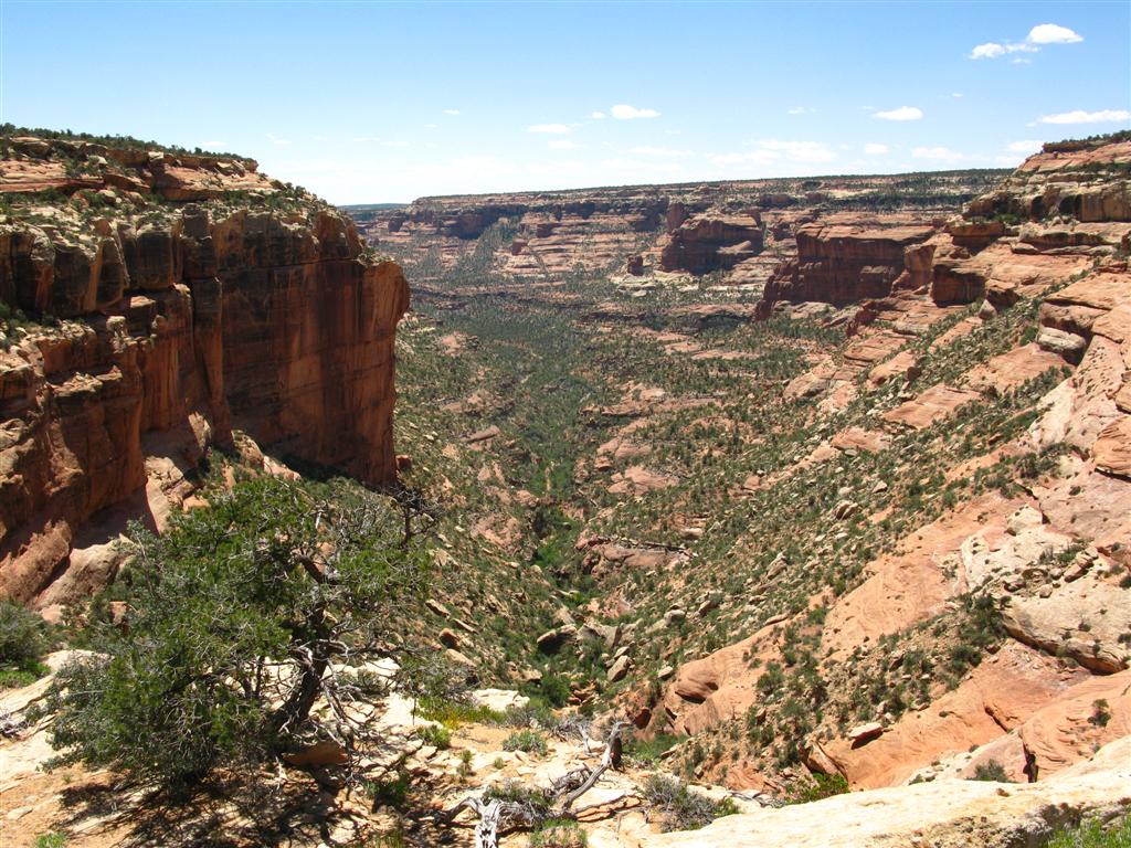 IMG_0189 (Large).JPG