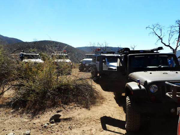 SAM_1166m.jpg