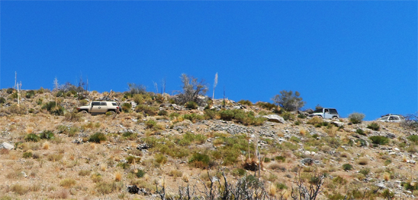 SAM_1174m.JPG