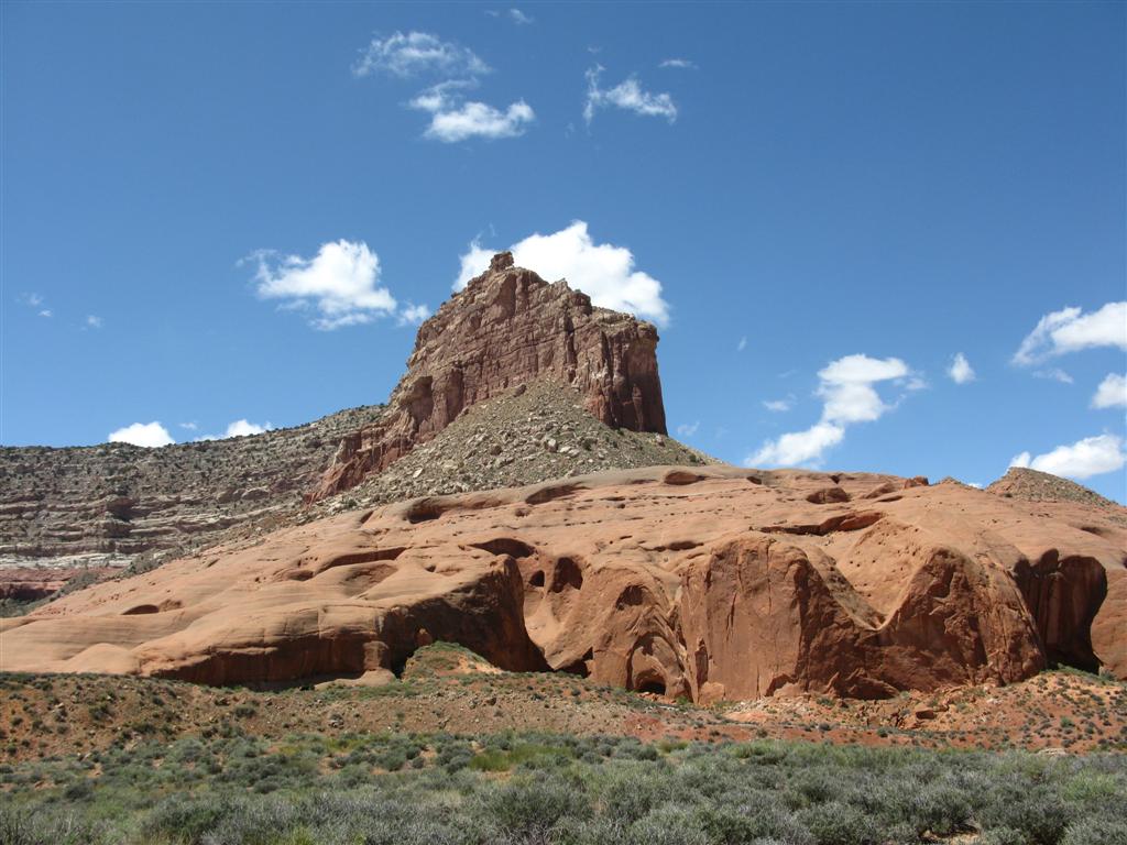 IMG_0270 (Large).JPG