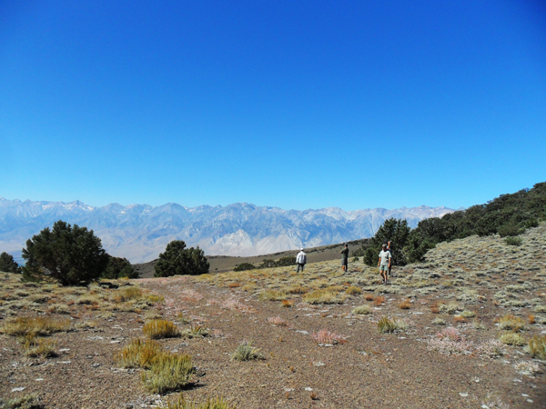 Sierra View - part way up to Mazourka Peak