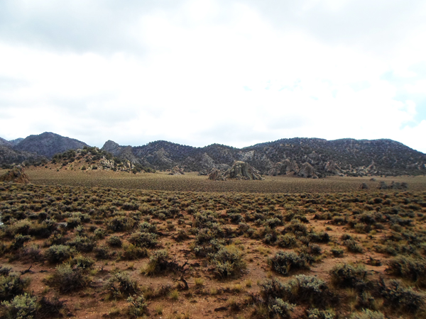 Wide view Papoose Flats