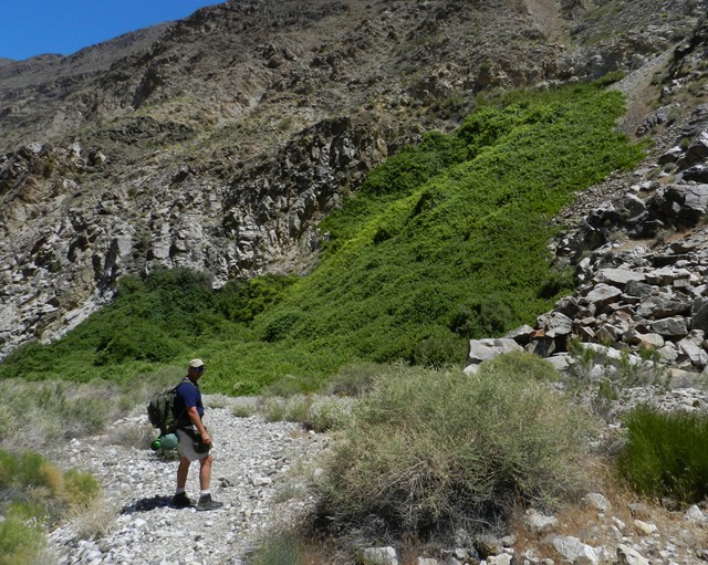 Two prominent springs feed Surprise Canyon and I recommend topping off with a purifier at each opportunity.