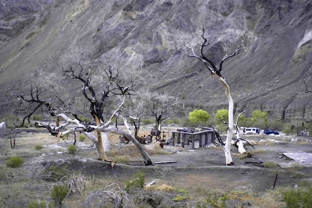 Wicht's Camp at the western mouth of Surprise Canyon and the starting point of the hike.