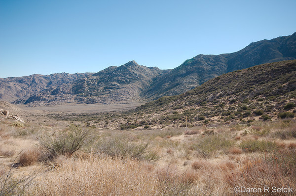 Pepperwood from Canebrake.jpg