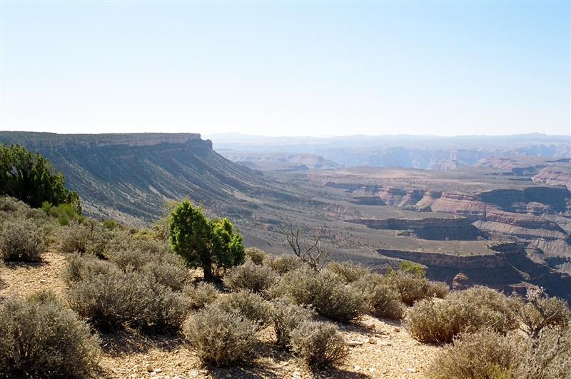 A view from camp