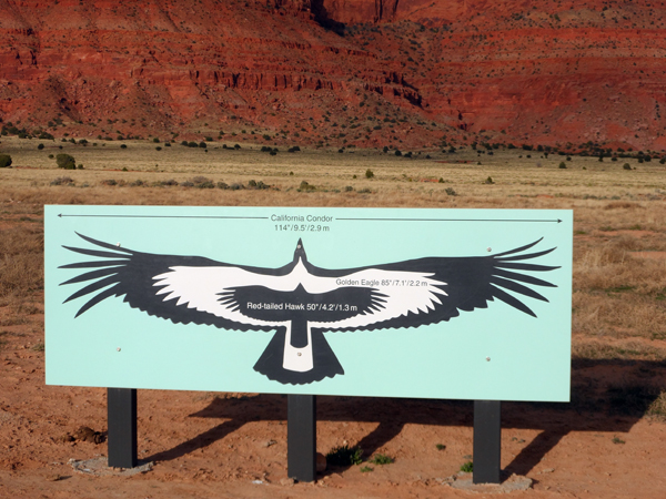On 12-12-96  6 California condors were released into the wild atop the Vermilion Cliffs