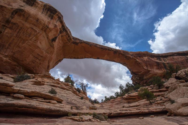 Natural Bridges NM.jpg