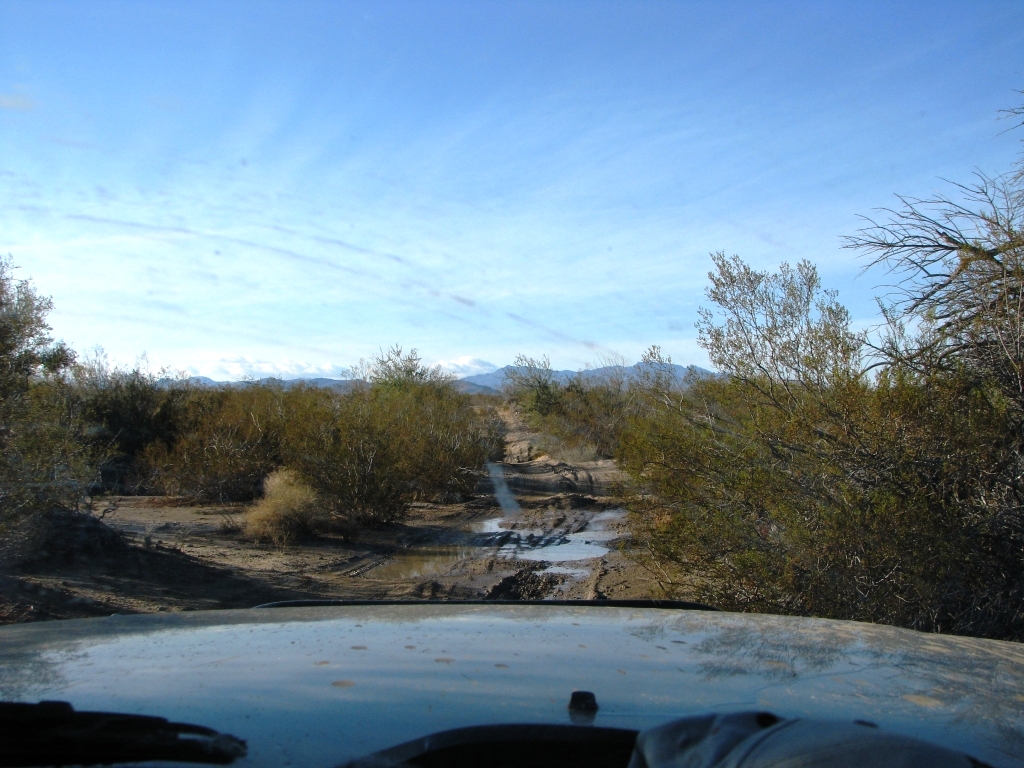 IMG_1405.jpg