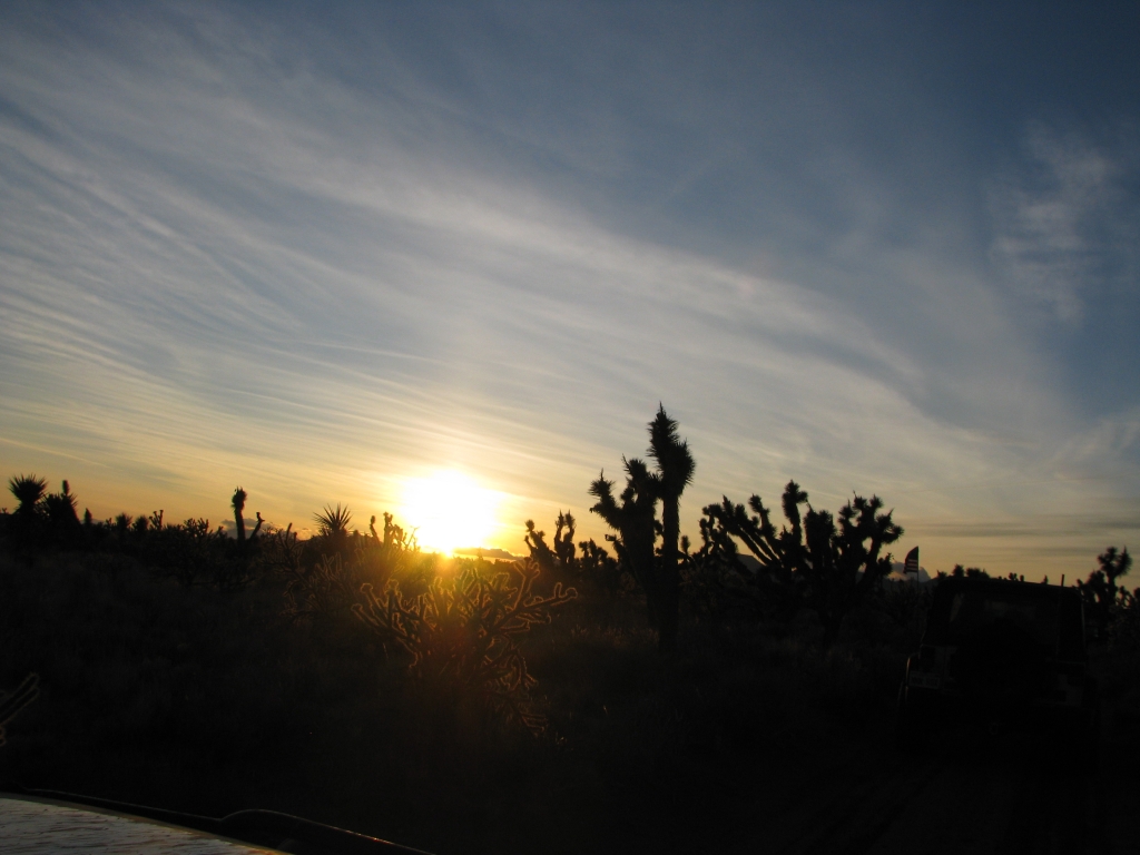 IMG_1441.jpg
