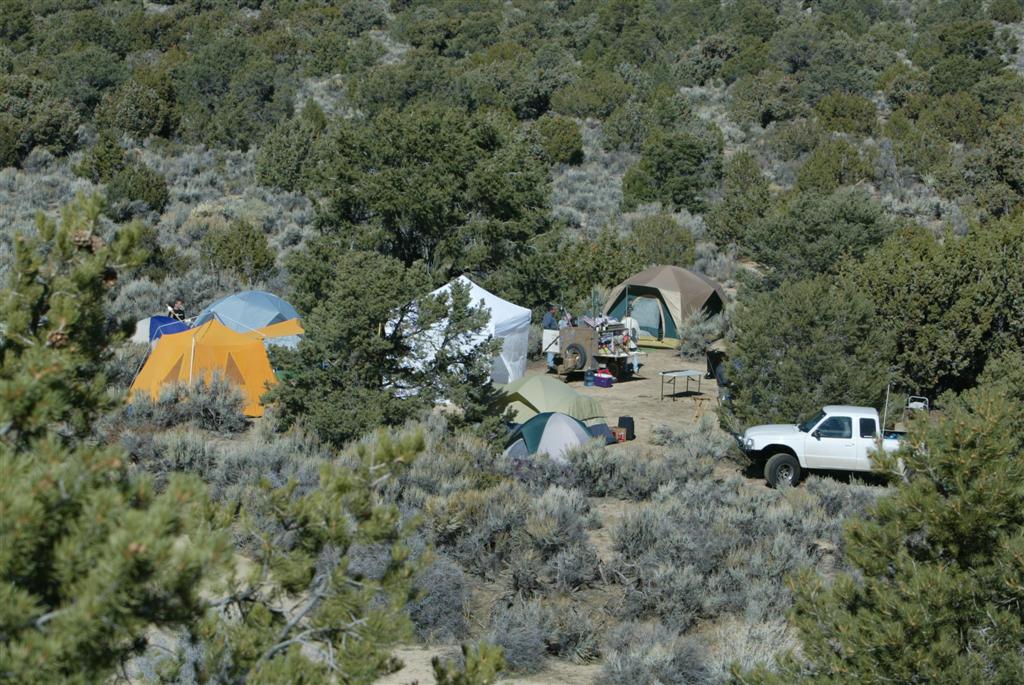 East Mojave Camp.jpg
