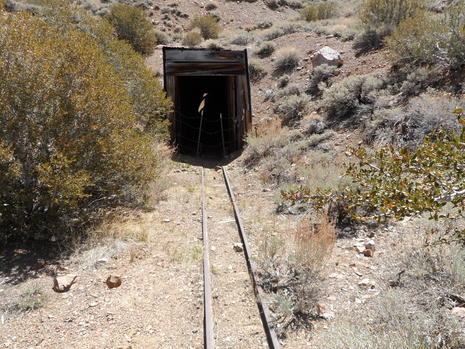 Indian Queen Mine