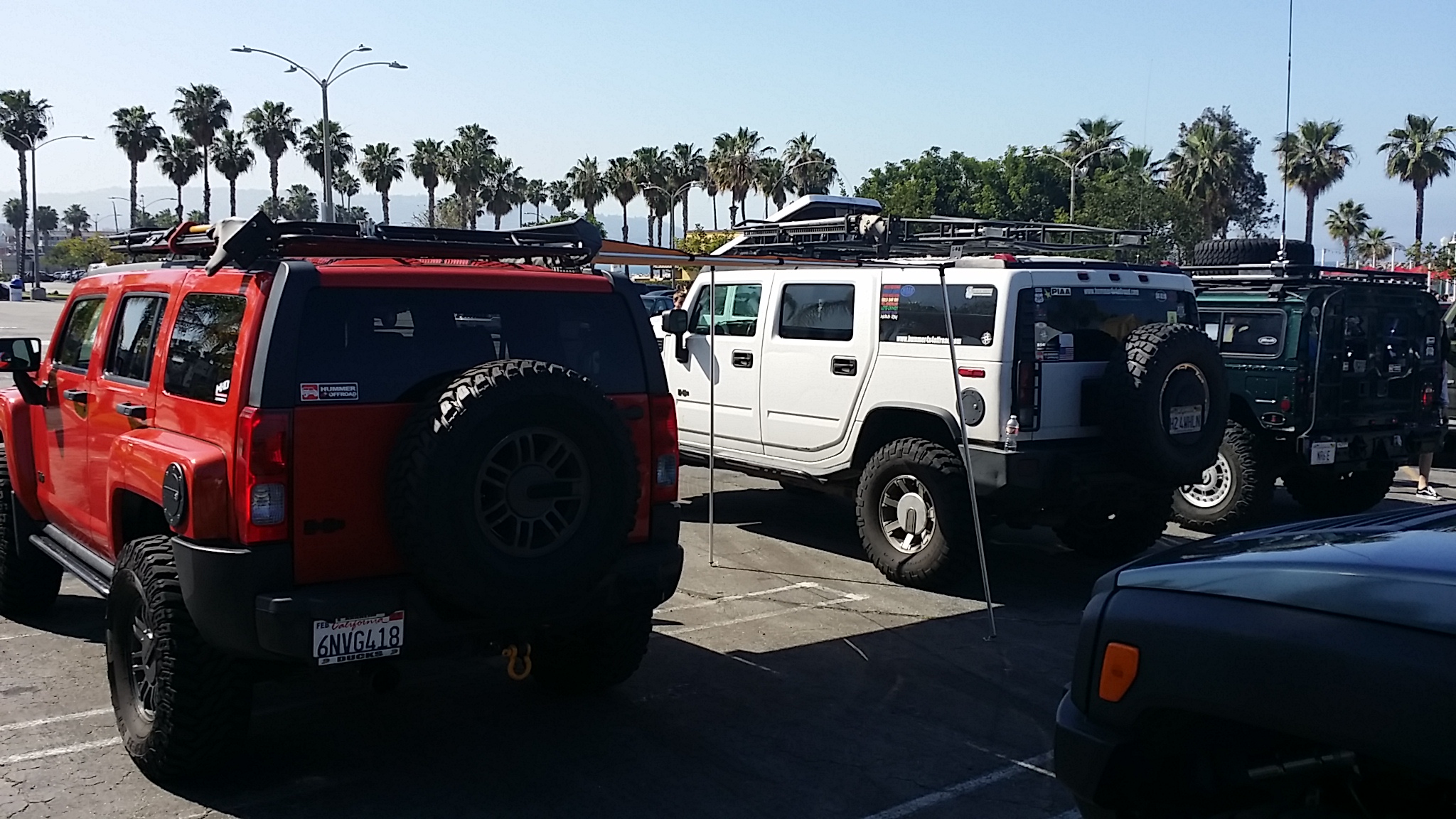 20150328_103448.jpg