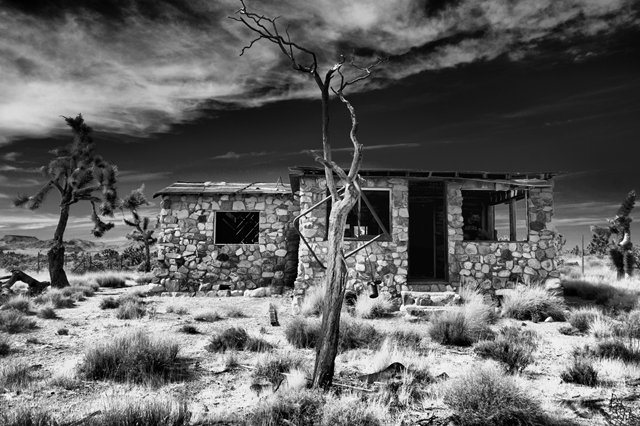 Some denizen of the desert once occupied this house.