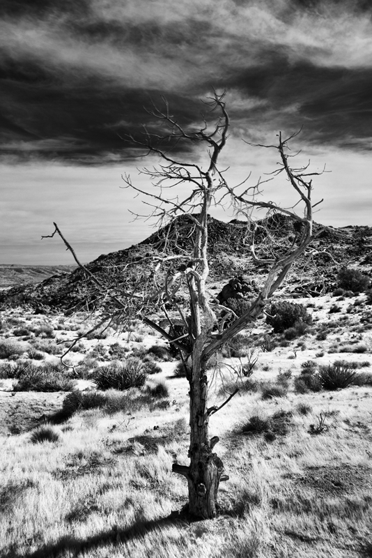 Near Rock Springs.