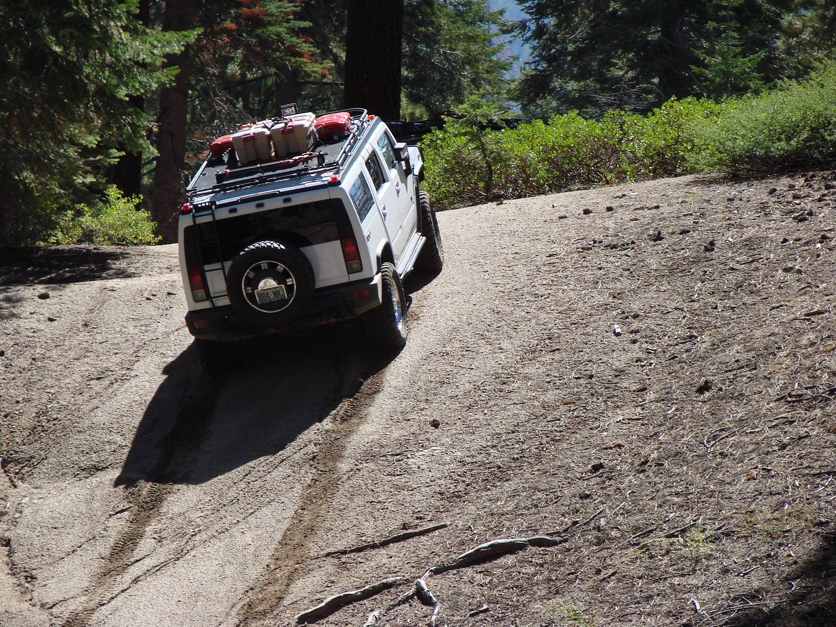 4 wheelin'.JPG