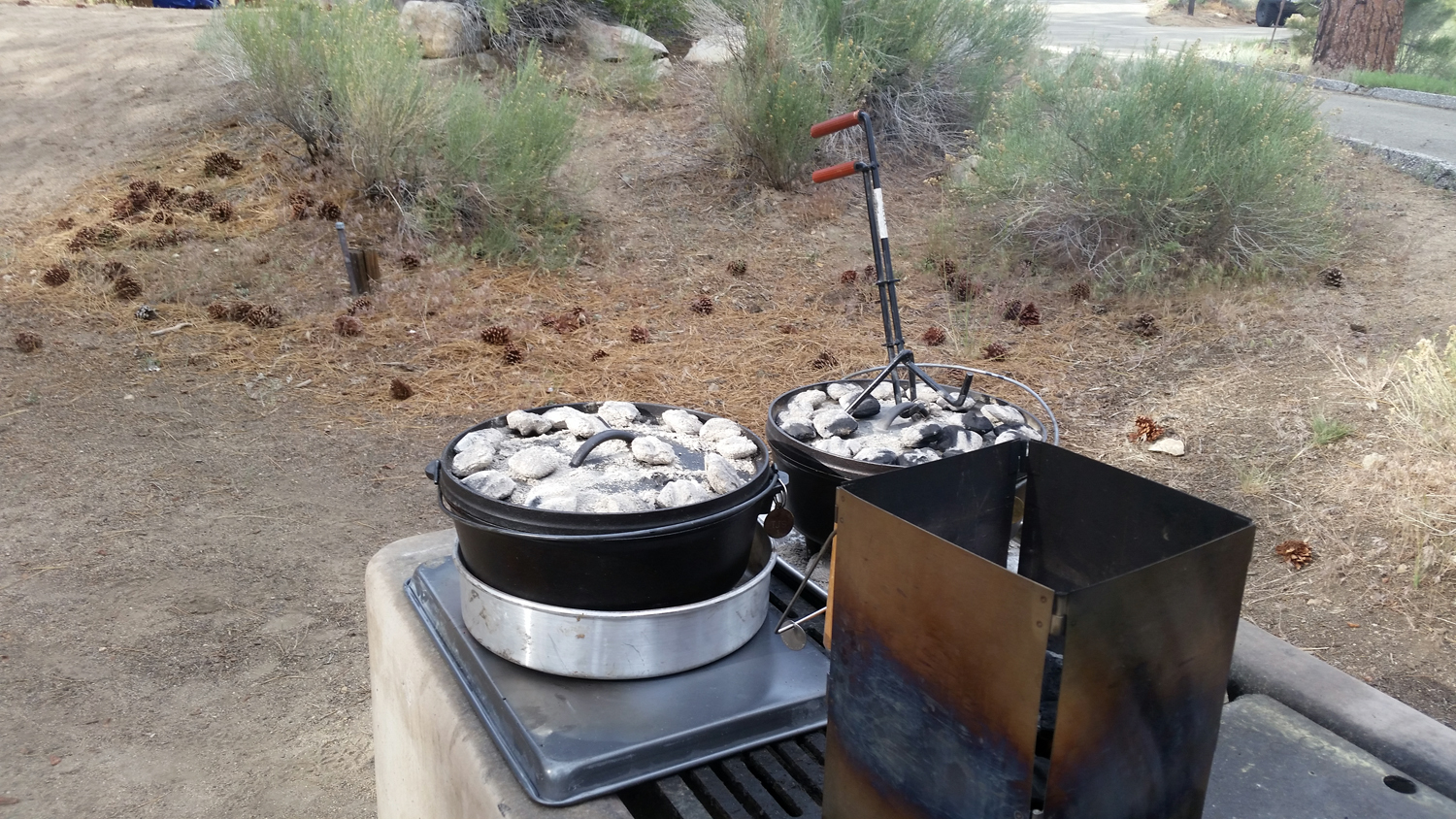 20150627_174106ps.jpg