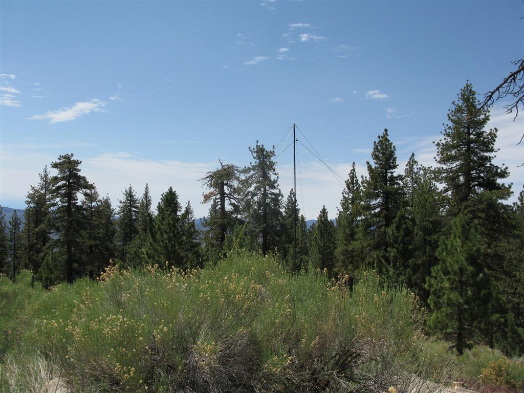 IMG_0750 (Large).JPG