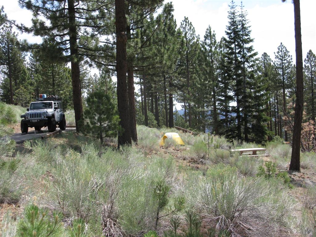 IMG_0728 (Large).JPG