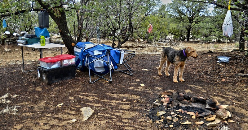 2.	A year earlier with another view of plastic totes with cooking and cleaning supplies.  Additional view of HD black tote with canned food and other parts of the kitchen food supply.  This happens to be after a light rain.  It was looking ominous but we survived a light soaking.