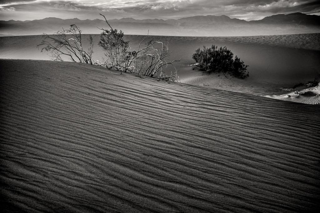 Dunescape4_Ver2_BW (Large).jpg
