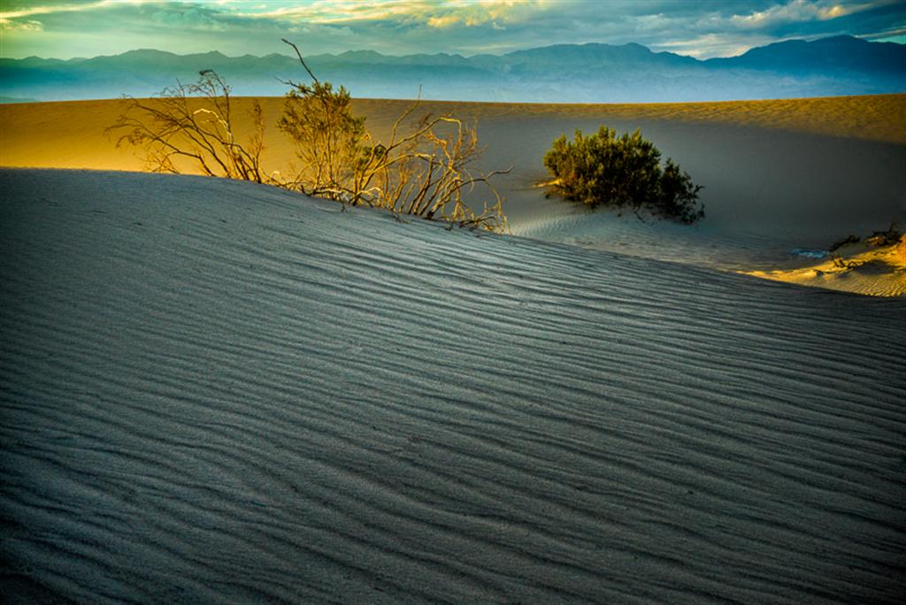 Dunescape4 (Large).jpg