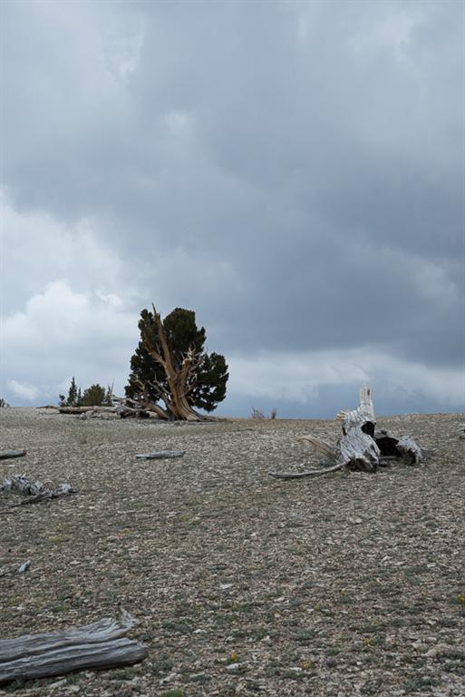 _DSC7736 (Large).jpg