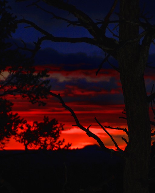 7.  This is the way it looked.  Just a snag and a painted sunset background.