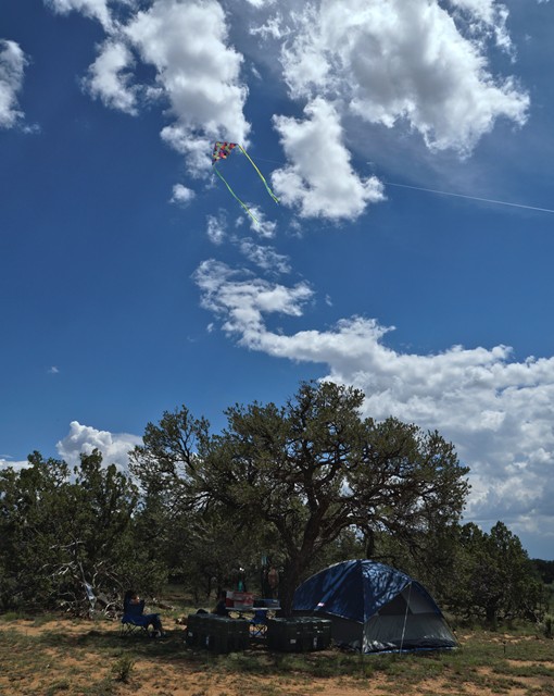 4.  Go Fly a Kite (over camp)!
