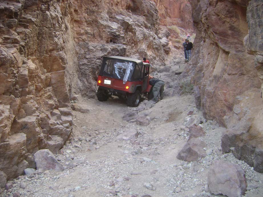 Calico1.jpg
