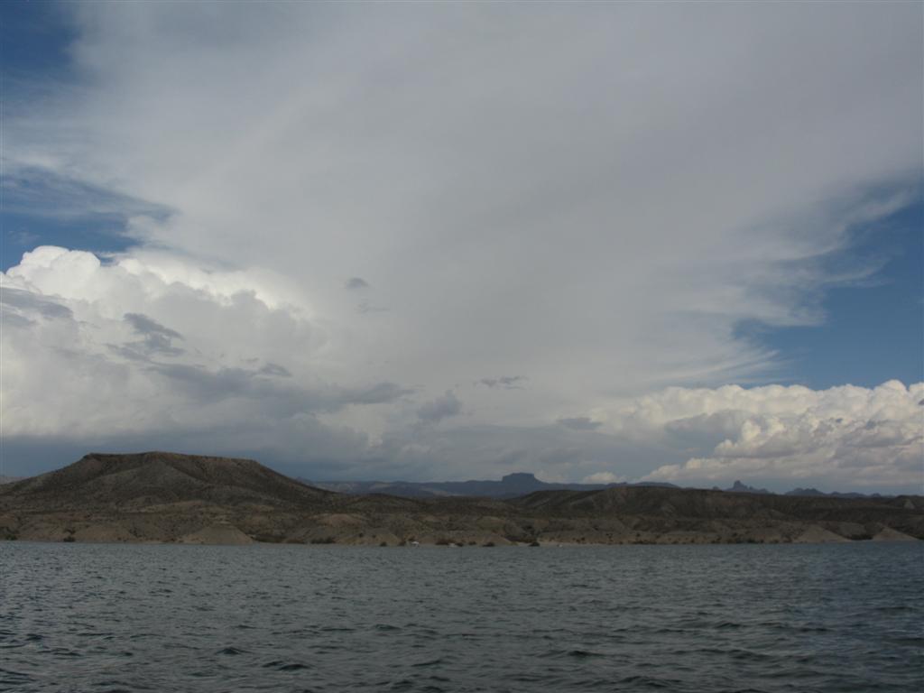IMG_0894 (Large).JPG
