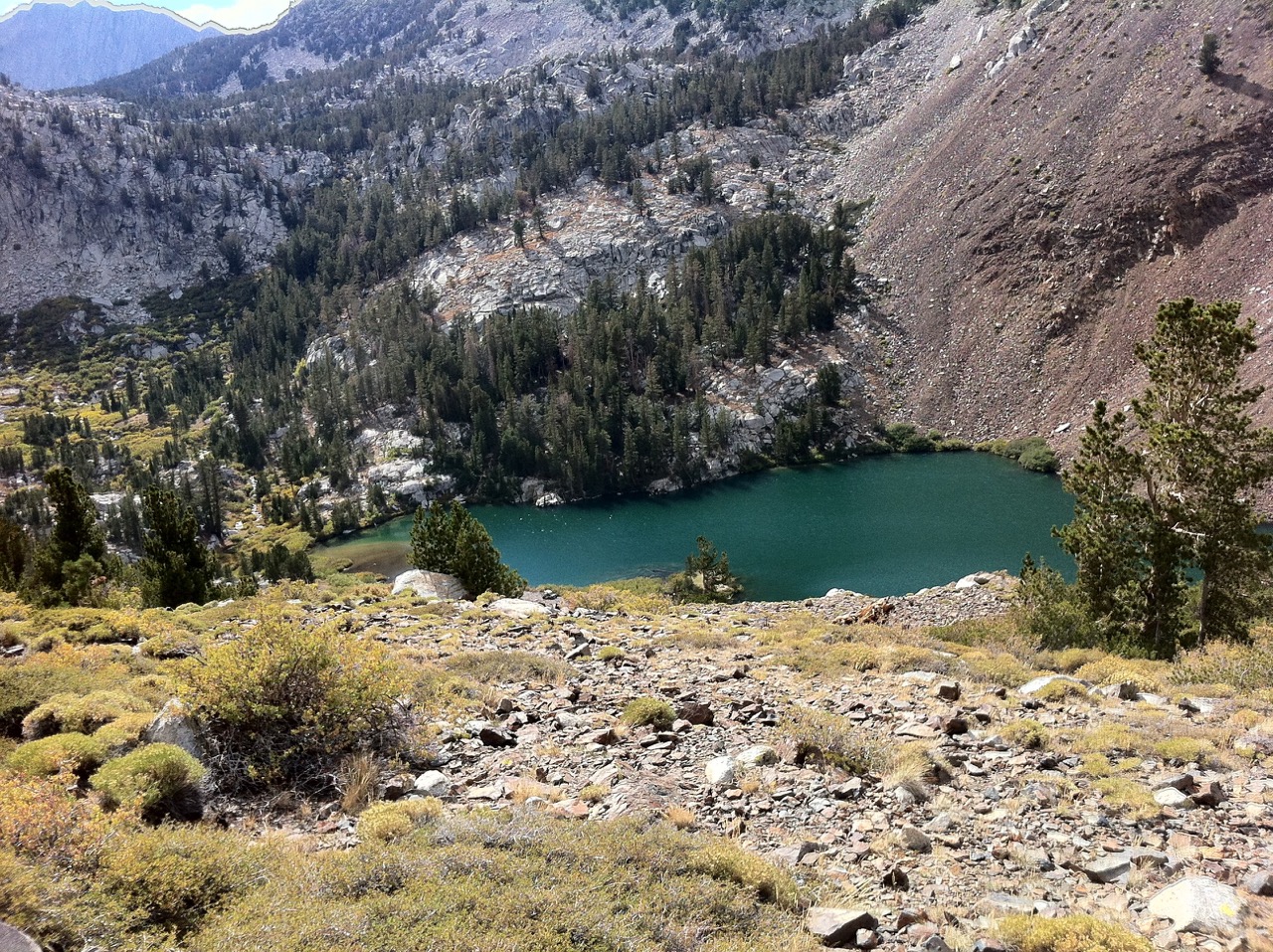 Laurel Lakes