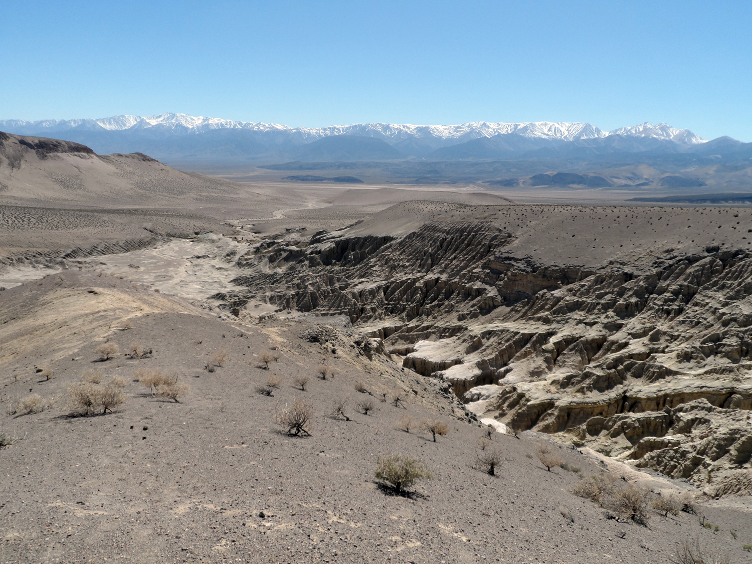 Looking from the top of the sump. Can you pick out Boundary Peak? Way over to the right.<br />NV773 runs along the valley in the distance at the bottom of the Sump and before the Snow covered White Mountains