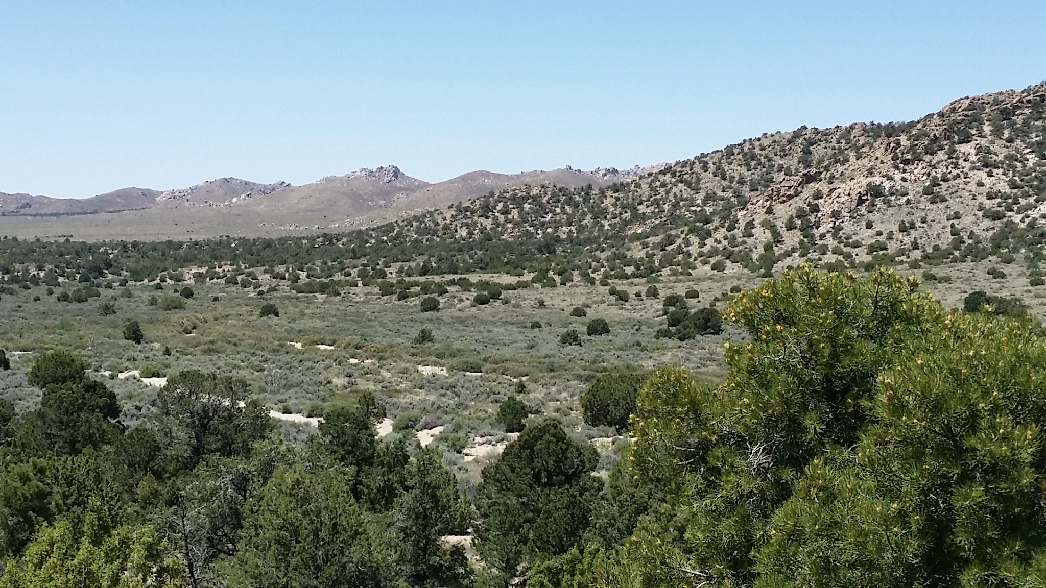 View from hills above camp