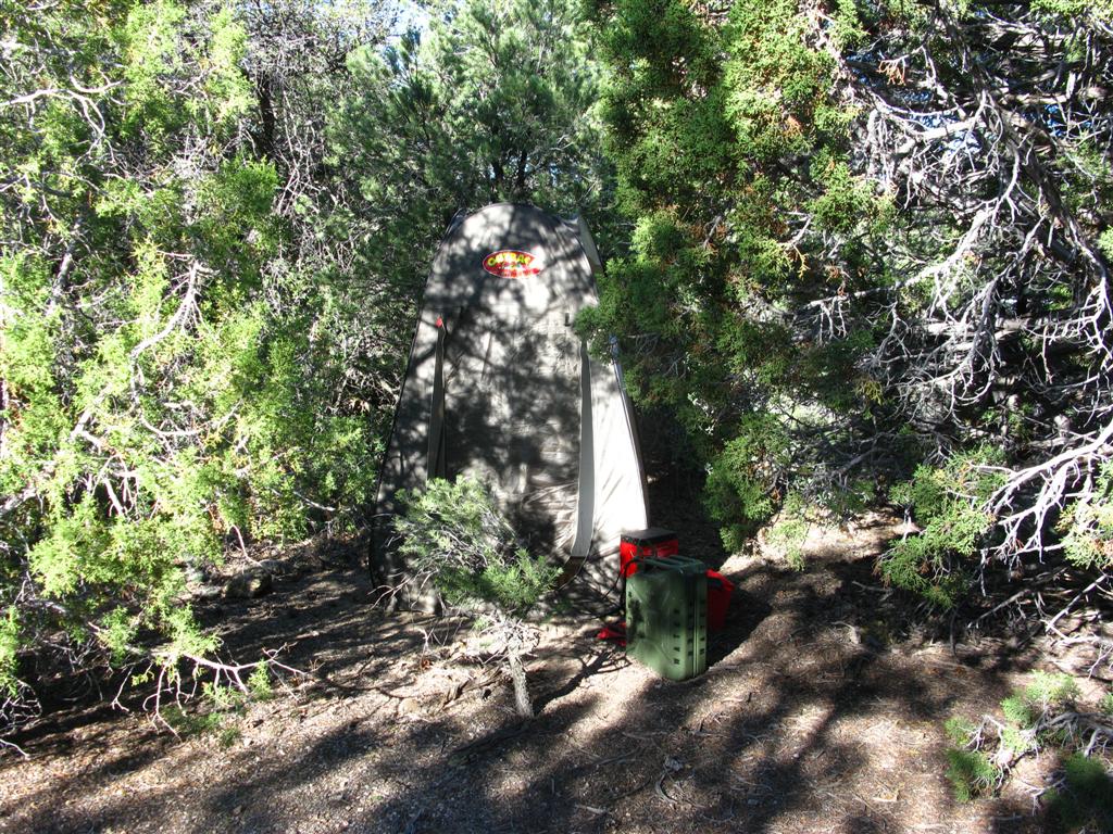 IMG_1064 (Large).JPG