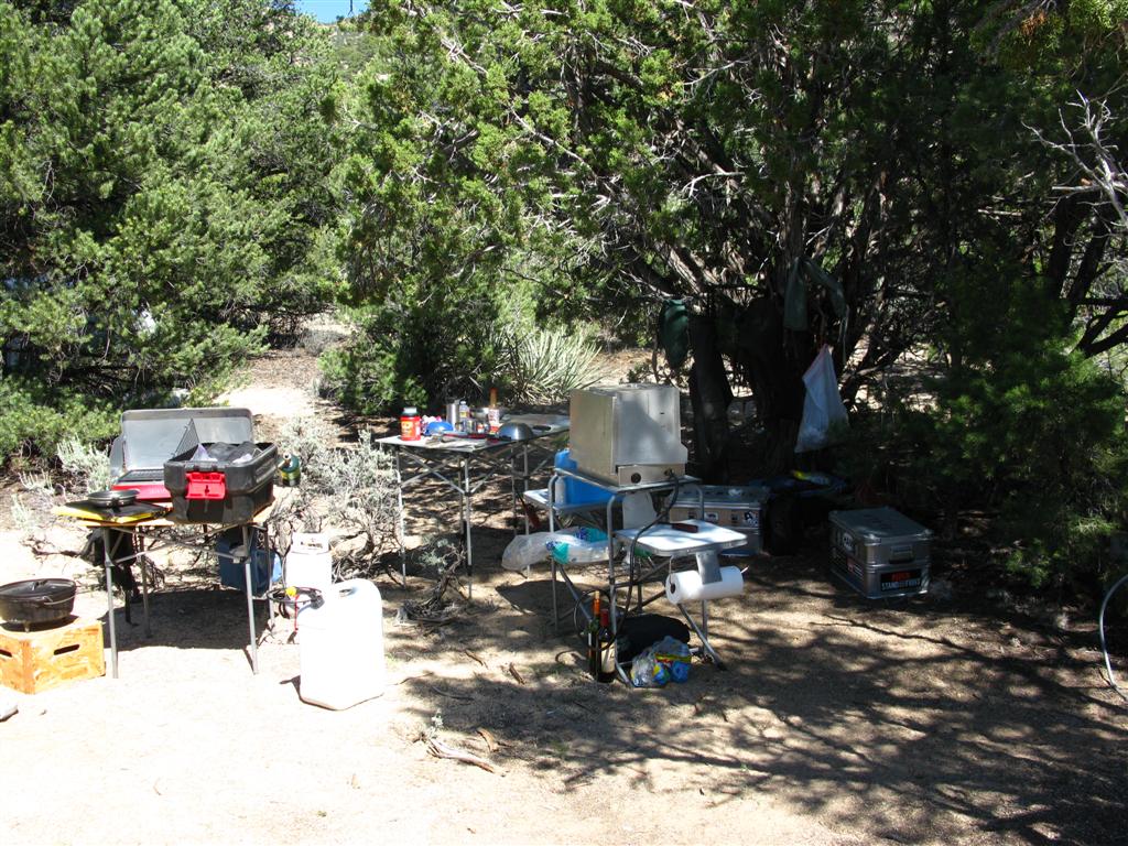 IMG_1033 (Large).JPG