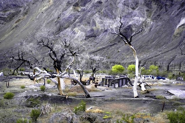 Panamint 08.JPG