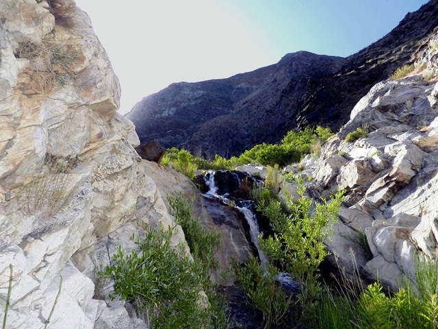 Panamint 12.JPG
