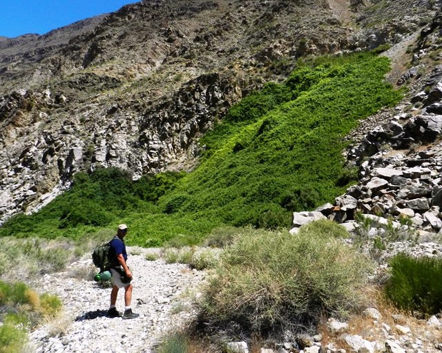 Panamint 23.JPG
