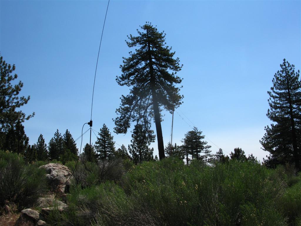 IMG_1093 (Large).JPG