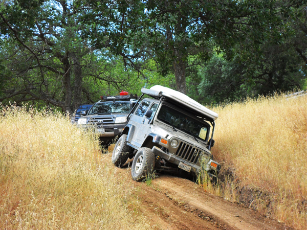Stuck001m.jpg