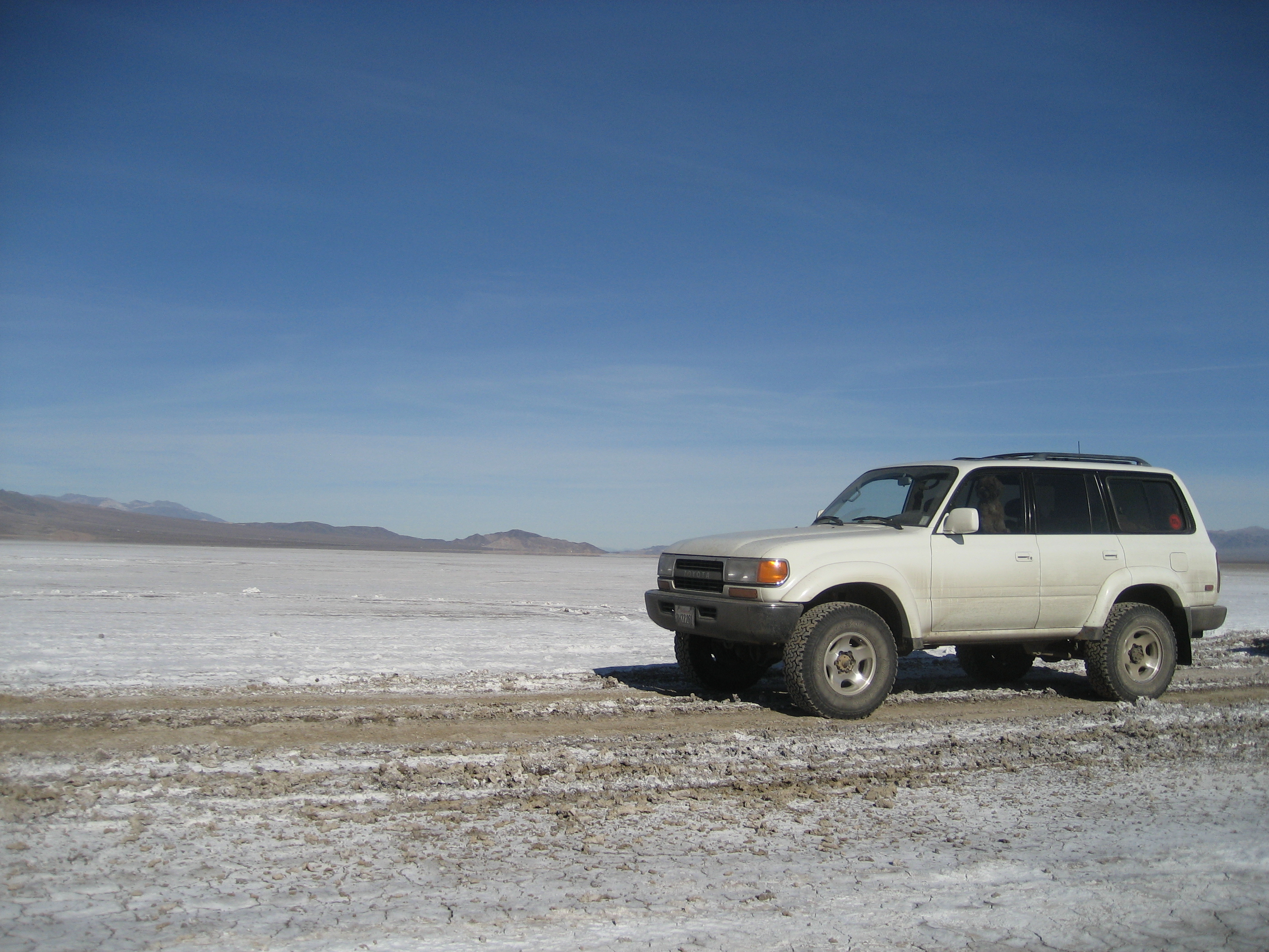 IMG_1243 copy.jpg