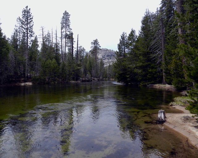 Yosemite 13.JPG