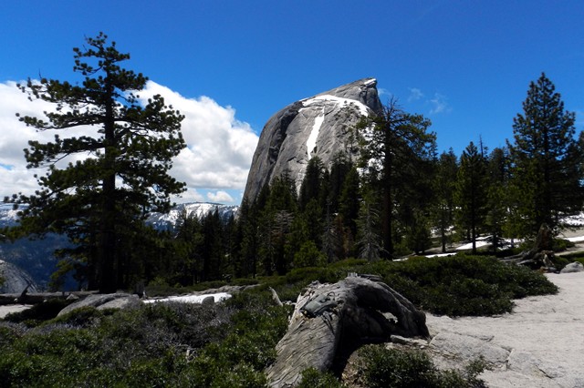 Yosemite 25.JPG