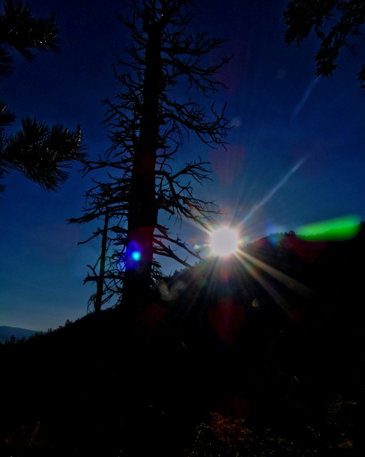 Bold light sometimes renders a dramatic photo.