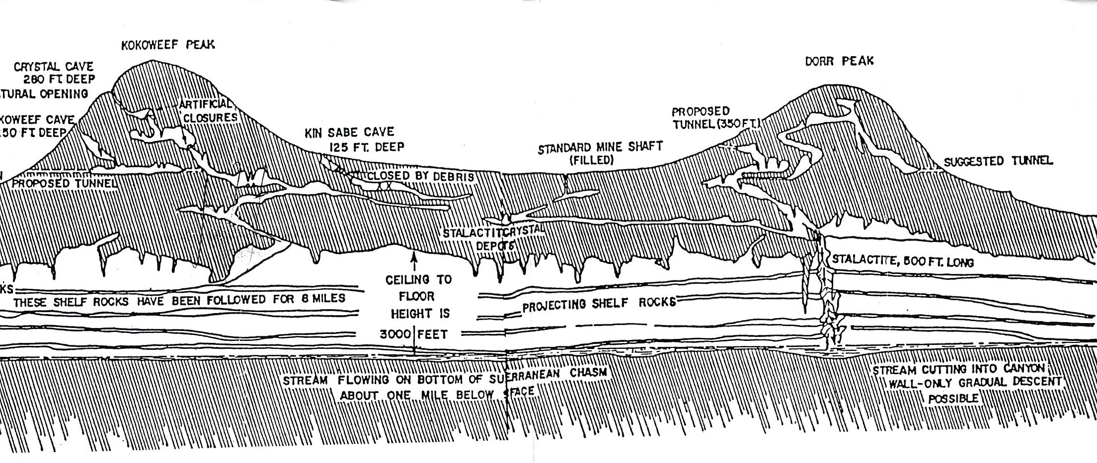 Kokoweef_Dorr_Peak_Cutaway.jpg