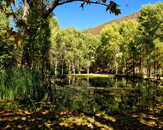 How about good sized pond near your mine?