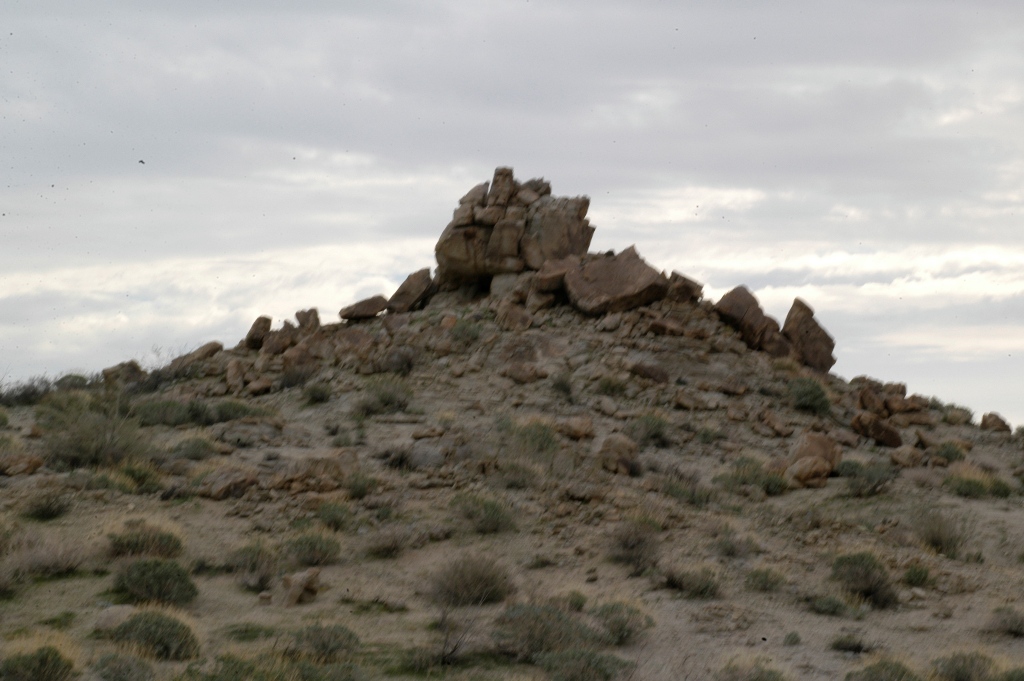 DSC_0081.JPG